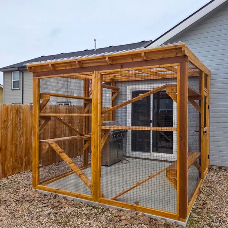 Rear exterior view of a wood-framed catio enclosure with a clear roof and visible interior platforms.