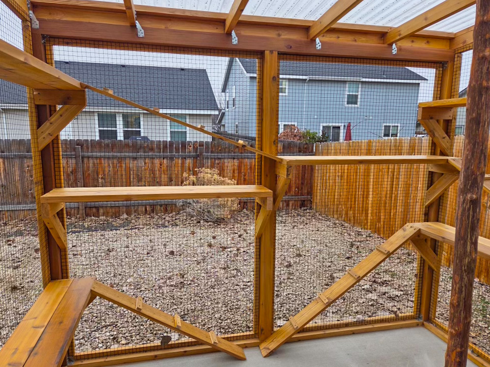 Custom cedar catio interior showing multiple perches and ramps for cats to explore.