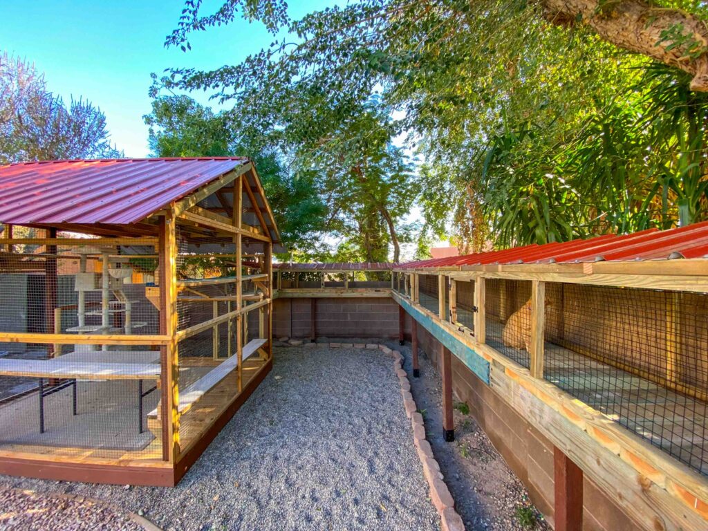Custom outdoor catio with a gabled roof connected to a long enclosed cat walkway in a shaded backyard in Alameda, California.