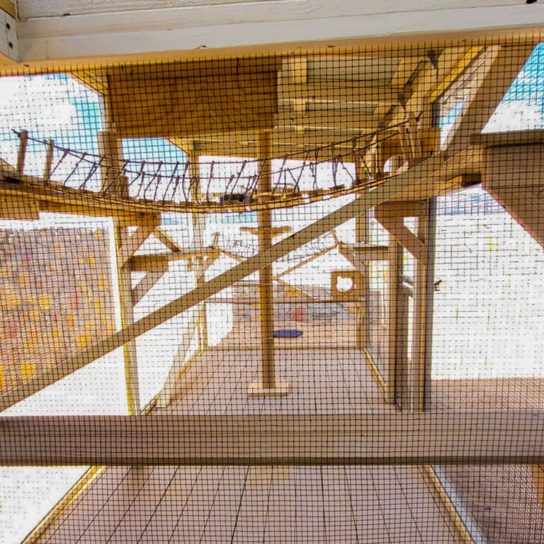 Wide interior view of a custom catio with ramps, platforms, and rope bridge.