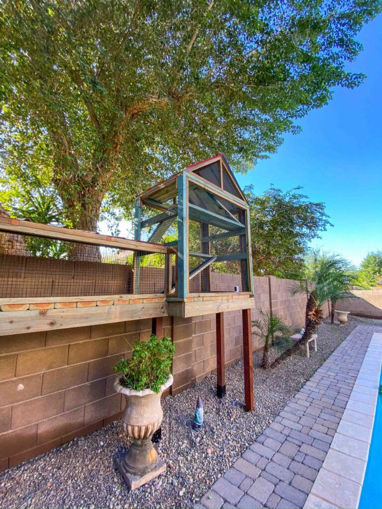 Elevated custom catio tower in Albany, California with enclosed walkways mounted along a backyard block wall and surrounded by landscaping.