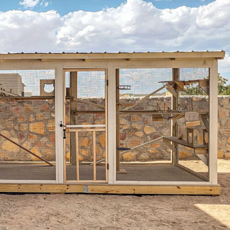 Wide exterior shot of a large custom catio with multiple activity zones inside.