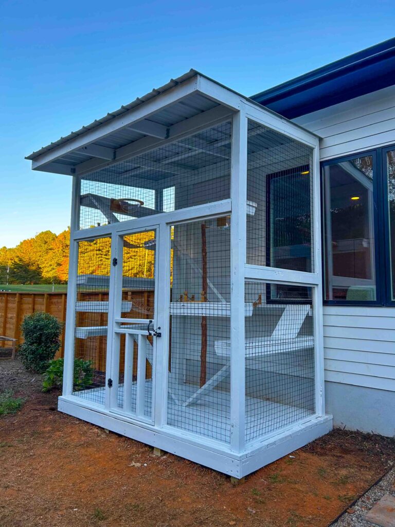 White freestanding custom catio attached to a home with wire mesh panels, climbing platforms, and a weather-resistant roof in Acton, California.