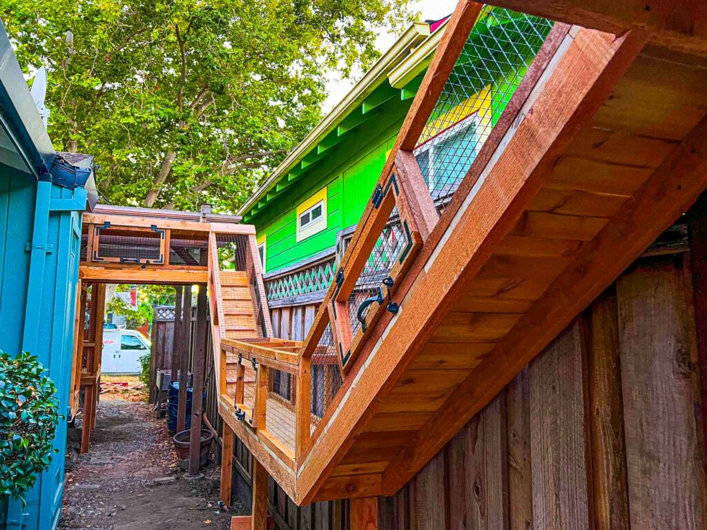 Angled wooden catio tunnel and enclosure system connecting multiple sections along a backyard fence.