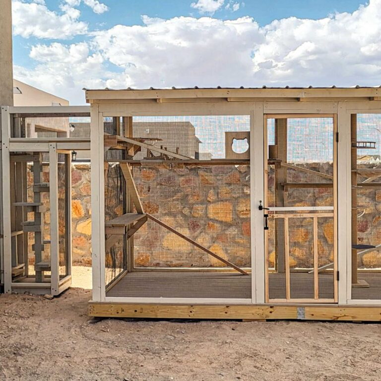 Front exterior view of a freestanding custom catio with secure door and mesh panels.
