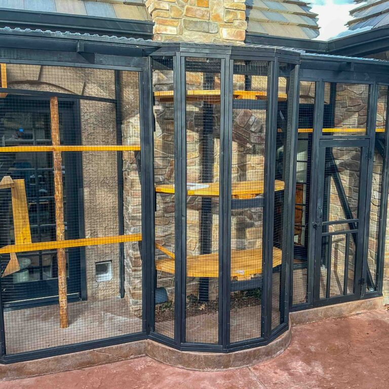 Full exterior view of a custom-built catio with black framing, cedar shelving, and secure mesh panels attached to a stone house.