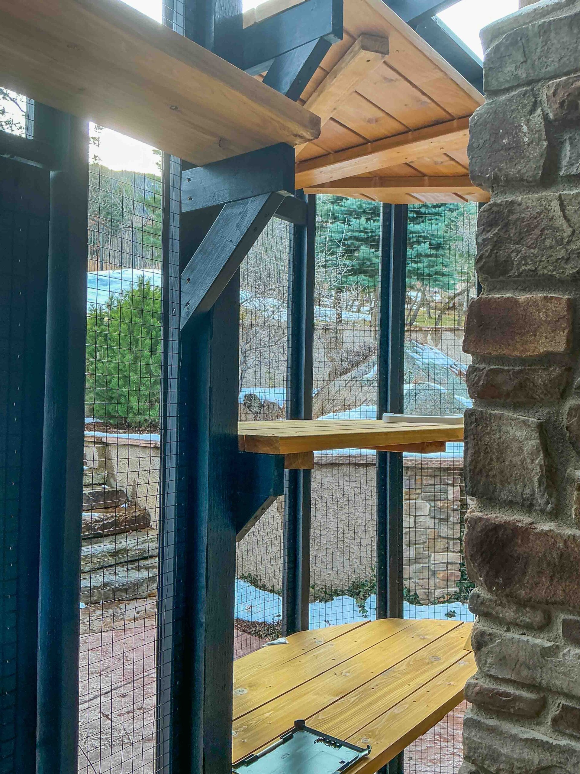 Close-up of custom catio shelving with natural wood platforms mounted to black framing and stone wall backdrop.
