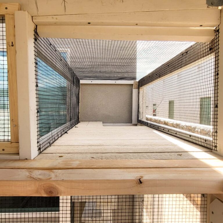 Interior view of a custom catio showing a long enclosed walkway with wire mesh and wooden flooring.