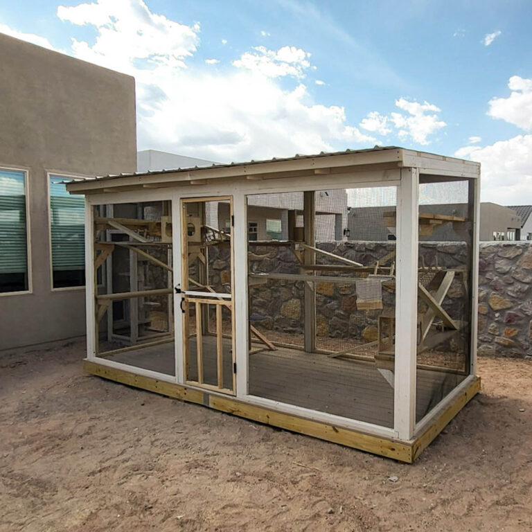 Exterior view of a freestanding custom catio installed in a backyard beside a home.