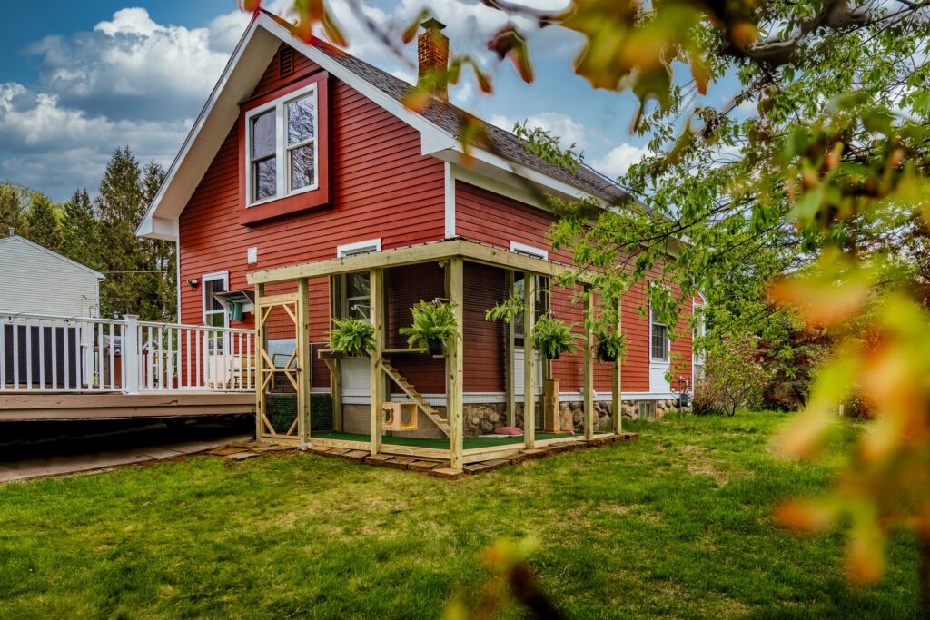 Custom-built outdoor catio attached to a red two-story home in American Canyon, CA, featuring a natural wood frame, black mesh enclosure, green turf flooring, hanging ferns, climbing ramp, and elevated cat shelves in a spacious backyard setting.