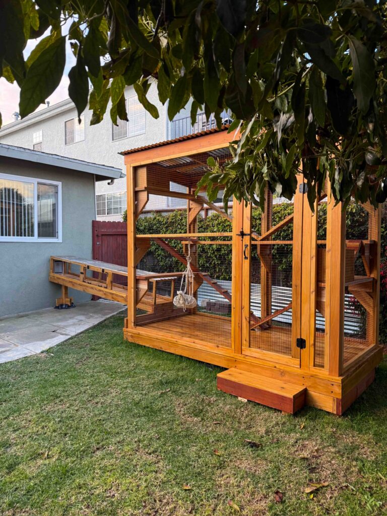 Custom-built wooden backyard catio in Aptos, California featuring a freestanding cedar enclosure with black wire mesh, hinged access door with secure latch, elevated foundation with step, attached window tunnel connection to the home, and interior climbing platforms, situated on a green lawn beneath a leafy tree canopy.