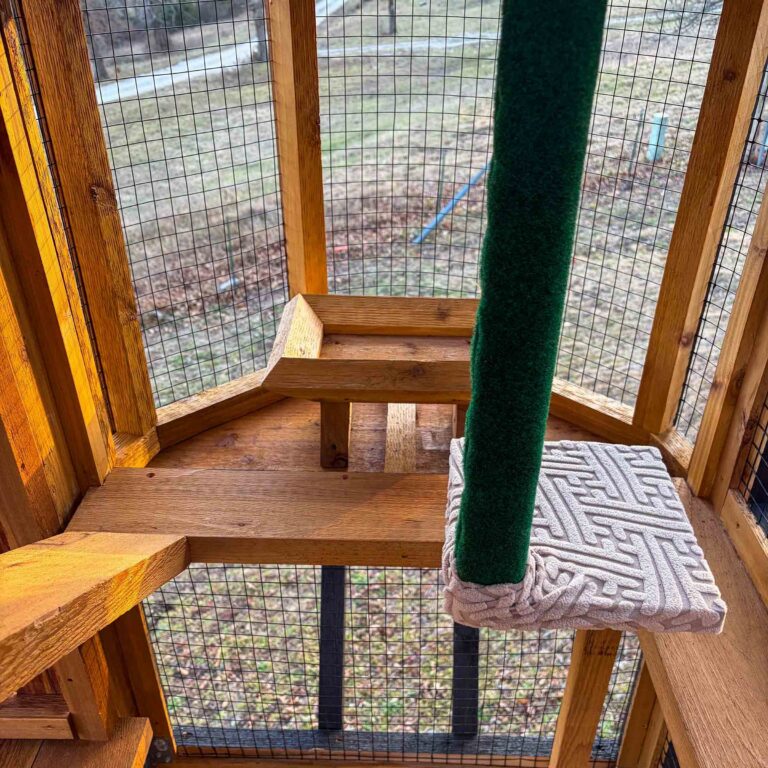 Corner platform detail inside catio tower with staggered cedar shelves, small corner perch, and green carpeted scratching post for vertical enrichment.