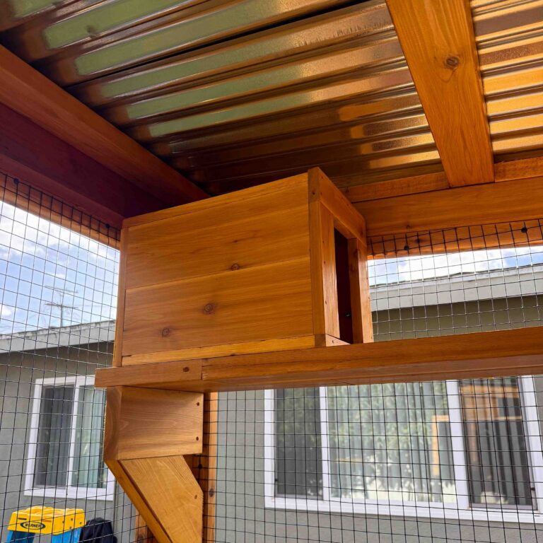 Interior upper-level wooden catio platform with enclosed nesting box beneath a corrugated metal roof and surrounded by black wire mesh walls.