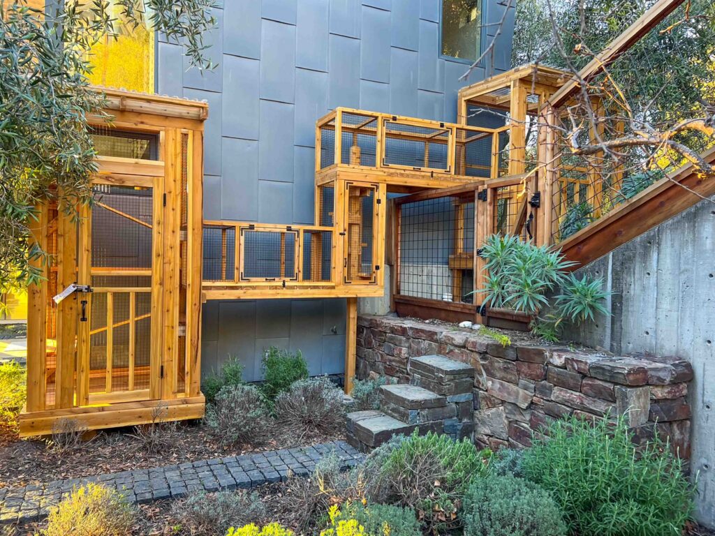 Large custom cedar catio in Bend, Oregon featuring multiple connected enclosures, elevated tunnel system, secure mesh walls, full-height human access door, stone retaining wall integration, and landscaped backyard setting with shrubs and trees.