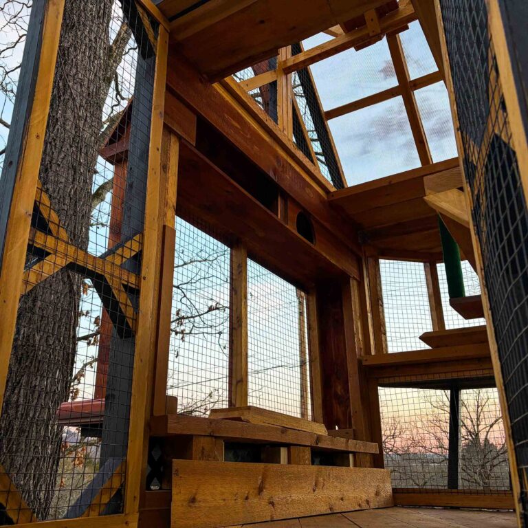 Interior view looking upward inside elevated catio tower showing cedar framing, wire mesh enclosure panels, angled roofline, and sunset sky visible through translucent roof panels.