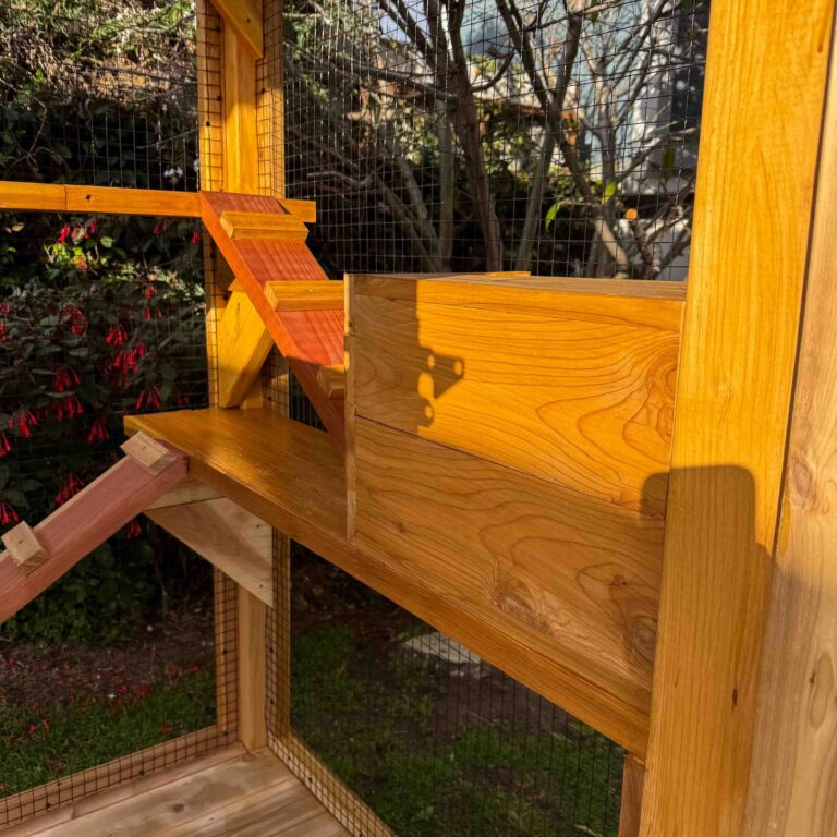 Close-up of a wooden catio platform with angled climbing ramp and built-in wooden hide box, surrounded by secure mesh panels and backyard greenery.