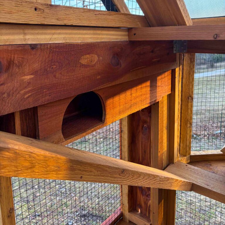 Close-up of built-in arched wooden cat cubby shelf inside elevated custom catio tower, crafted from rich cedar with visible wood grain, surrounded by sturdy framing, wire mesh panels, and angled climbing ramp.