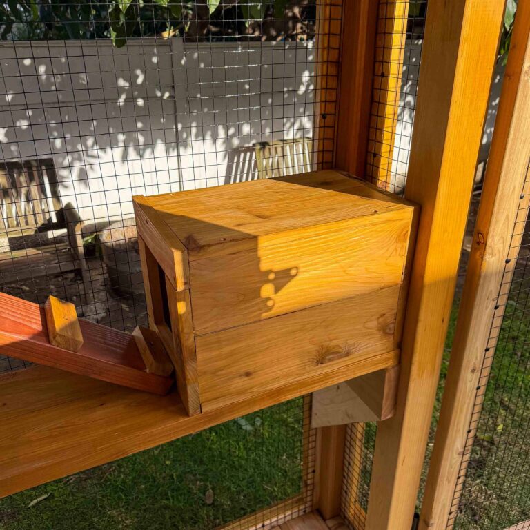 Close-up view of a wooden nesting box installed on a catio platform, illuminated by warm sunlight and surrounded by secure wire mesh panels.
