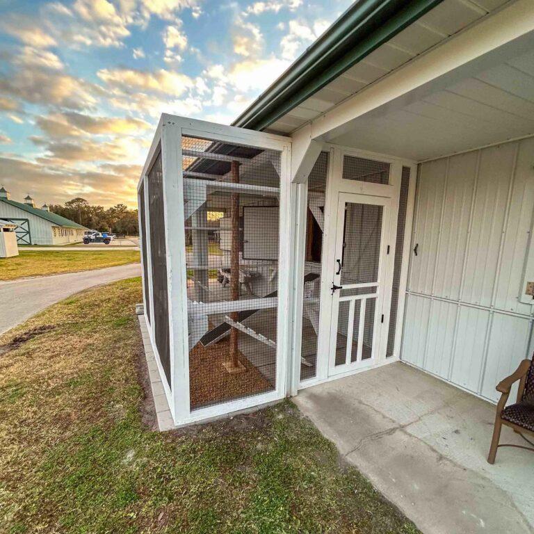 Exterior side view of a white custom-built catio attached to a barn-style home with a green metal roof at sunset, featuring screened walls and a secure access door.