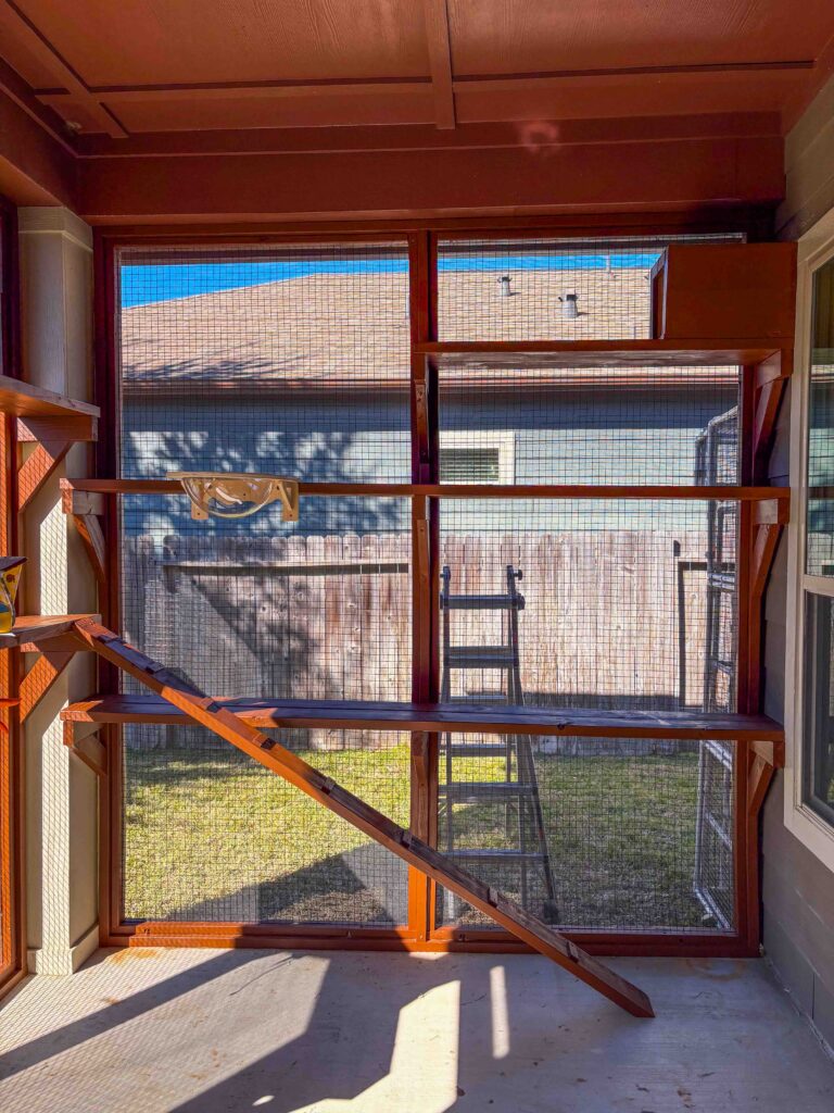 Interior view of a custom wood-framed catio in Cypress, TX featuring floor-to-ceiling wire mesh panels, a long horizontal cat shelf, an angled wooden climbing ramp with traction slats, and a mounted lounging perch, all enclosed within a covered patio overlooking a fenced backyard.