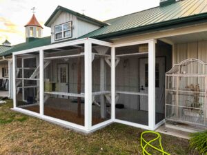 Wide exterior view of white custom catio attached to farmhouse with green roof, black mesh panels, interior shelves, and a large decorative birdcage nearby.