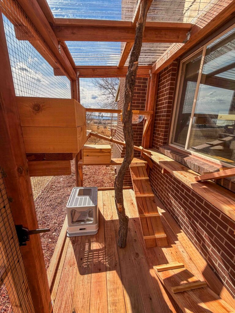 Interior view of a custom cedar catio in Coronado, CA showing a wooden deck floor, built-in cat shelves, ramps, and platforms mounted along a brick exterior wall. A vertical natural tree branch is installed in the center for climbing enrichment. The enclosure features black wire mesh walls and a clear corrugated roof allowing sunlight inside. A window access point connects the catio to the home, and a covered litter box sits neatly in one corner.