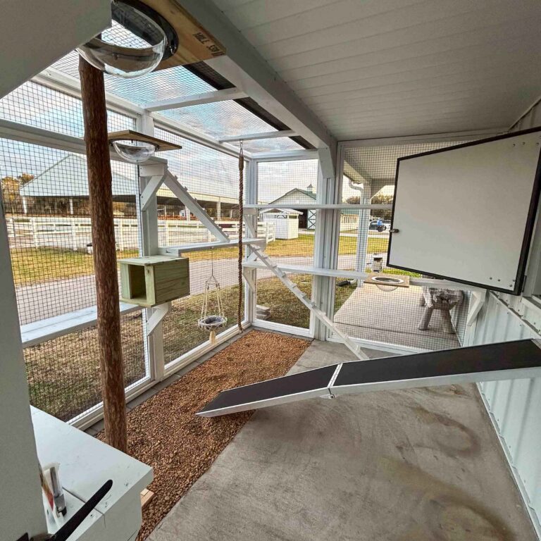 Wide interior view of custom white catio featuring angled ramps, tiered shelving, mounted feeding bowl platforms, natural wood scratching post, and gravel and concrete flooring.