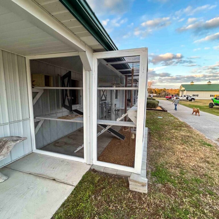 Corner view of a white outdoor catio enclosure with mesh walls, interior climbing ramps and platforms, concrete base, and landscaped yard surrounding the structure.