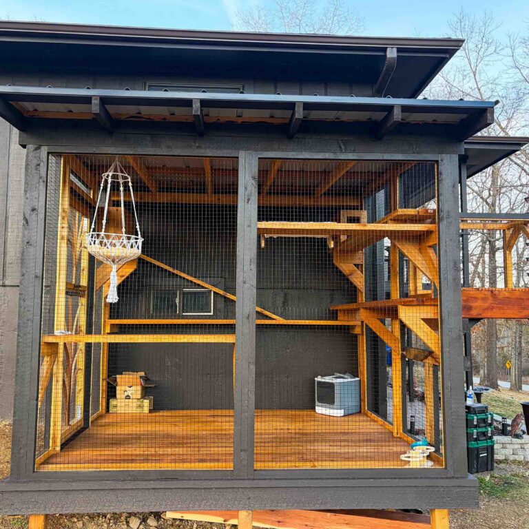 Interior view of large wooden catio enclosure with multi-level cedar platforms, angled climbing ramp, macrame hanging cat hammock, and spacious open floor area.