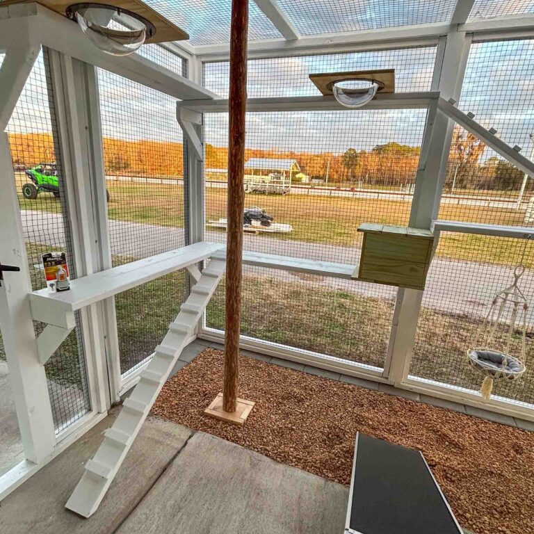 Interior view of a white custom catio with vertical ladder, dome window perches, mounted wooden cat house, rope hammock, gravel flooring, and expansive outdoor views.