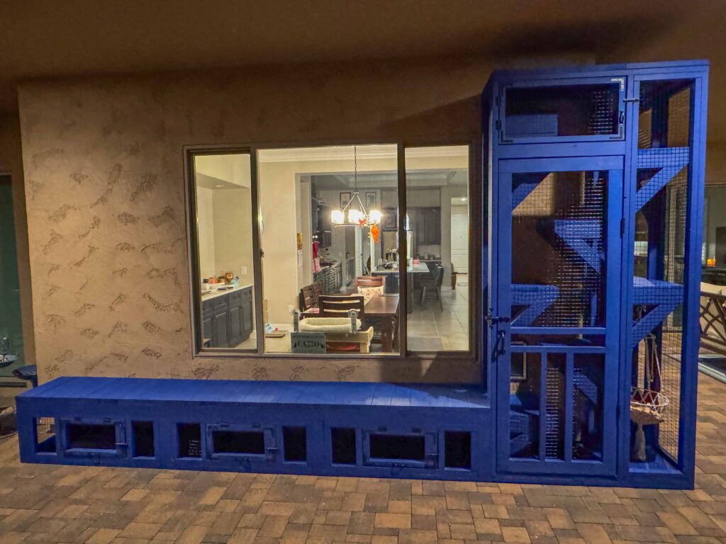 Custom blue window-access catio connected to a home in Oracle, Arizona, featuring a long enclosed base tunnel, elevated vertical enclosure, mesh panels, and interior climbing platforms visible through the glass.