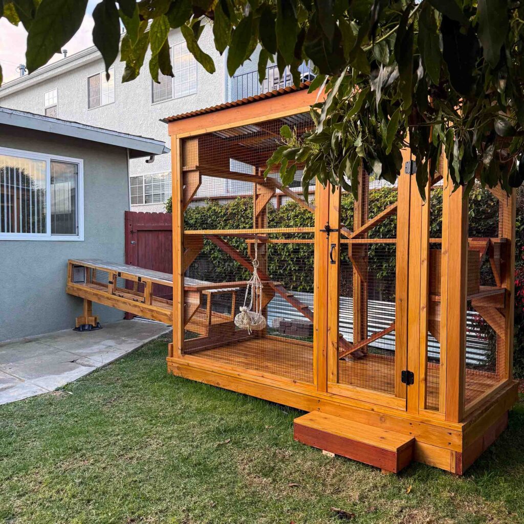 Wide backyard view of a custom-built wooden catio enclosure with secure mesh walls, hinged access door, interior climbing shelves, and an attached cat tunnel extending from a house window.
