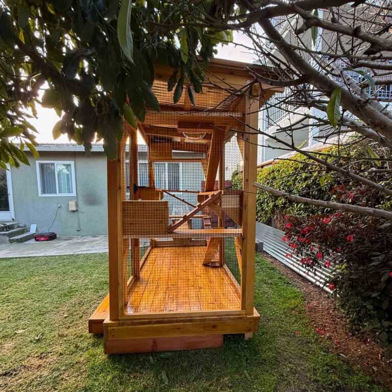 Front view of a custom-built outdoor wooden catio enclosure set in a grassy backyard, featuring a slanted corrugated metal roof, black wire mesh panels, elevated wooden base, and multiple interior climbing ramps and platforms beneath a leafy tree canopy.