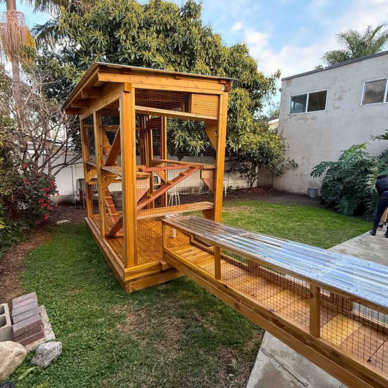 This beautifully crafted custom catio stands prominently in a lush backyard, framed by overhanging tree branches that provide natural shade. Built from warm-toned, high-quality wood, the enclosure features a slanted corrugated metal roof for weather protection and durable black wire mesh panels for safety and airflow. Inside, multiple ramps, platforms, and shelves create a dynamic vertical playground for cats to climb, explore, and lounge. The elevated base enhances durability while adding a polished, professional finish to this secure outdoor sanctuary.