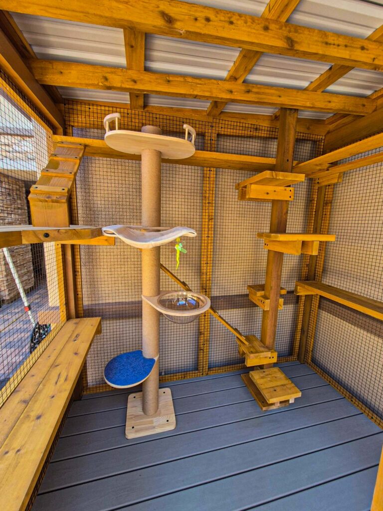 Interior of a custom catio featuring wooden climbing shelves, a multi-level cat tree with scratching posts, hammock bed, and clear bubble perch, all enclosed with wire mesh walls and a covered roof for safe outdoor cat enrichment.