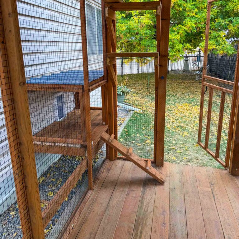 Interior view of a custom cedar catio featuring a mid-level platform, angled climbing ramp with traction cleats, secure wire mesh walls, and a spacious wood deck floor overlooking a backyard with fall foliage.