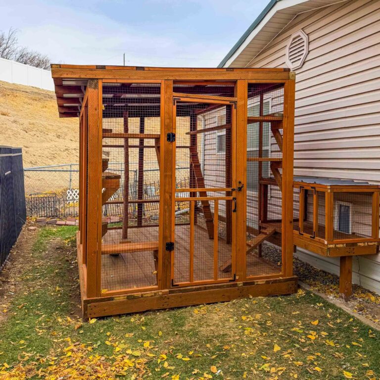 Exterior view of a large custom cedar catio attached to a home, featuring a slanted weather-protected roof, secure mesh walls, full-size entry door, and elevated window tunnel connection in a backyard with autumn leaves.