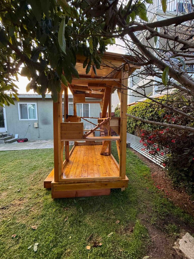End view of a custom cedar catio in a grassy backyard in La Habra Heights, showing the interior climbing shelves, wooden floor platform, mesh walls, and surrounding garden trees providing shade.
