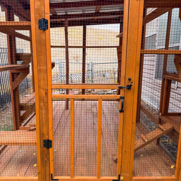 Front-facing view of a custom cedar catio door with black hardware, secure latch system, and wire mesh panels revealing interior shelves and climbing structures.
