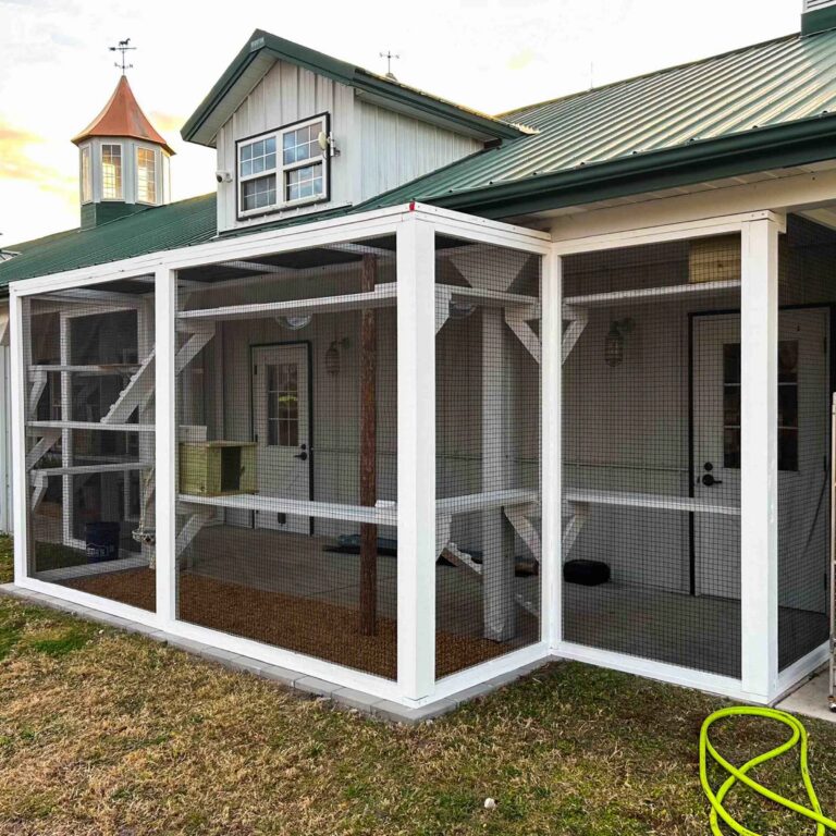 Full exterior view of a large custom catio enclosure attached to a farmhouse-style home, featuring white framing, secure mesh walls, elevated shelves, and a vertical climbing post.