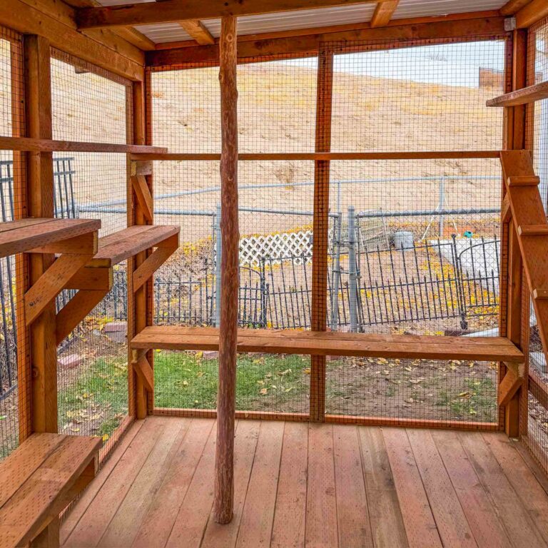 Spacious interior view of a cedar catio featuring multiple staggered wall-mounted shelves, a vertical natural wood climbing post, and a solid wood deck floor enclosed with wire mesh panels.