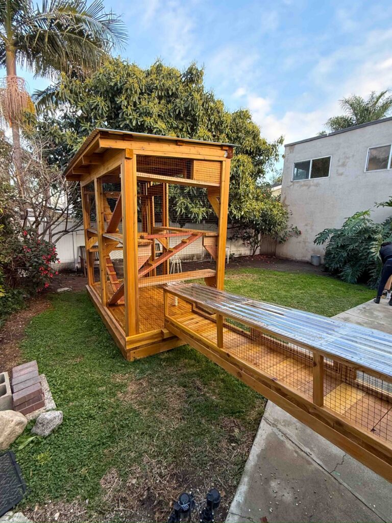 Spacious backyard catio in Kailua, Hawaii with a wooden enclosure, slanted roof, interior climbing ramps and shelves, connected to a long covered cat tunnel leading from the home, set among palm trees and lush garden landscaping.