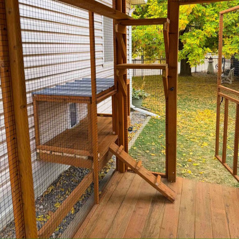 Interior view of a custom wooden catio attached to a home, featuring multiple wall-mounted cedar shelves, a small angled climbing ramp with traction cleats, wire mesh panels for safety, and a spacious wood deck floor overlooking a backyard with autumn leaves.