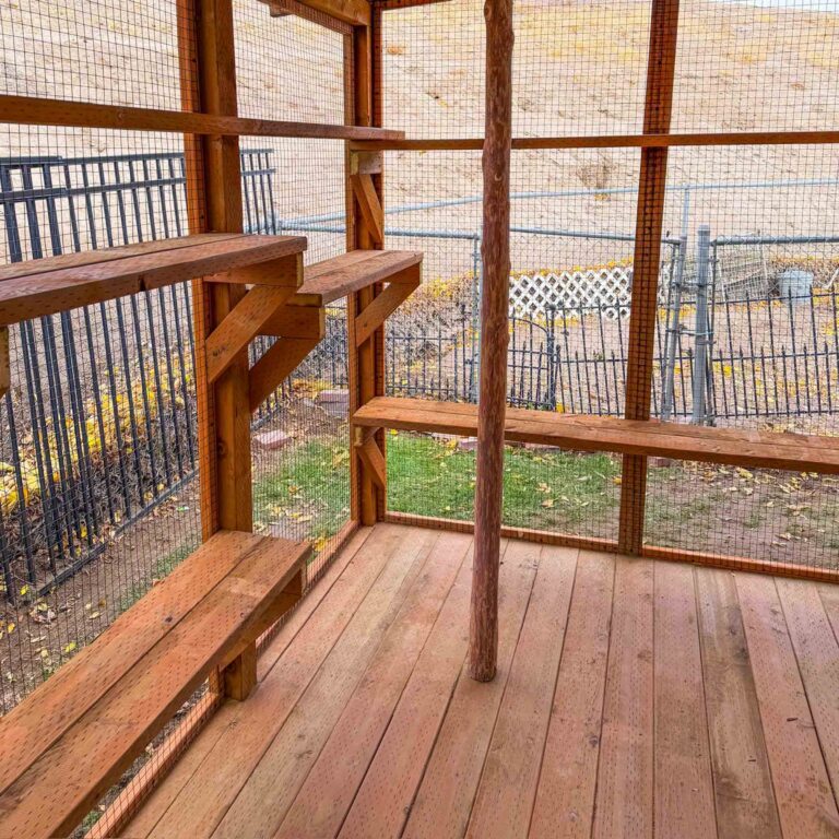 Spacious interior of a custom wooden catio featuring staggered climbing shelves, a vertical natural wood post for scratching or climbing, and a solid cedar deck floor.