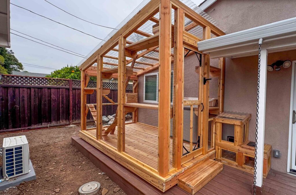 Exterior view of a large custom-built wooden catio in Lafayette, California attached to a home, featuring a raised platform base, wire mesh enclosure, clear roof panels, multiple interior climbing shelves, and a connected window access box.