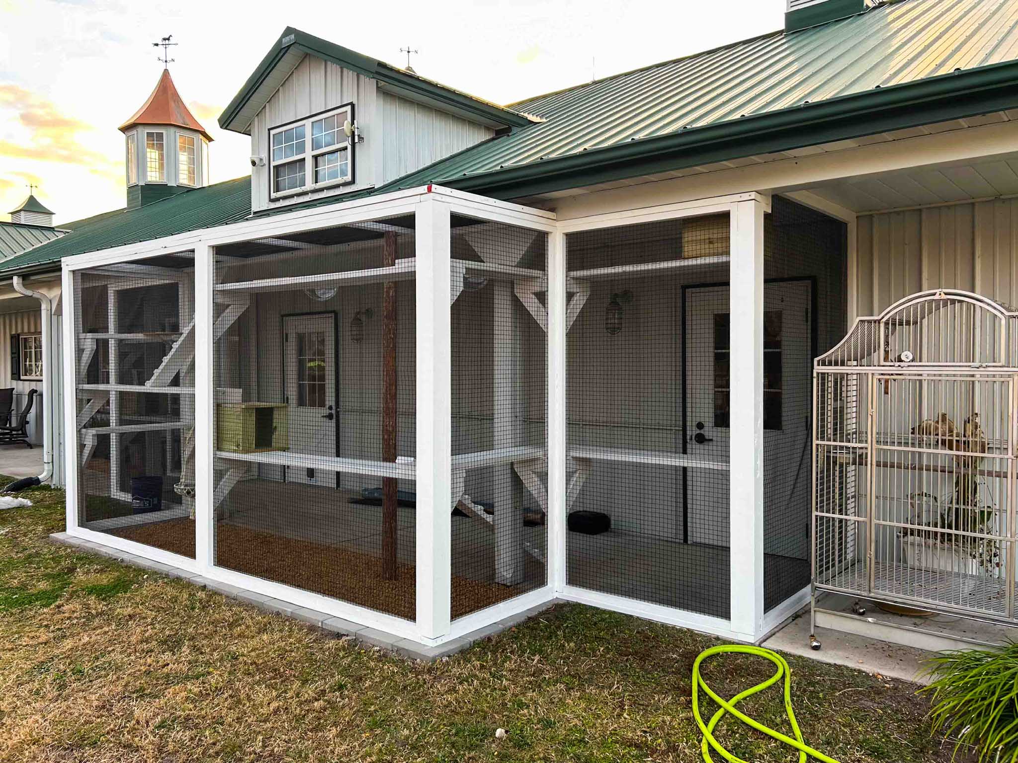 St. Augustine Grand Cat Gallery