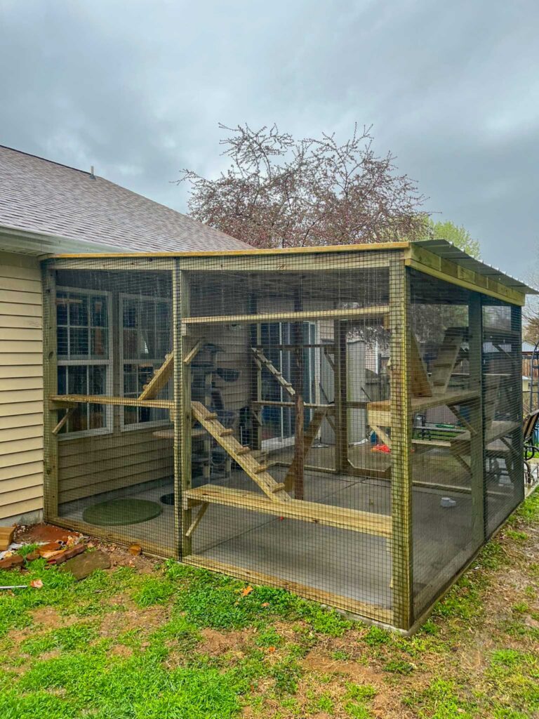 Large custom-built outdoor catio attached to a home in Kernersville, NC, featuring a fully enclosed wooden frame with wire mesh walls, multiple interior climbing ramps, platforms, and a spacious layout on a concrete base under an overcast sky.