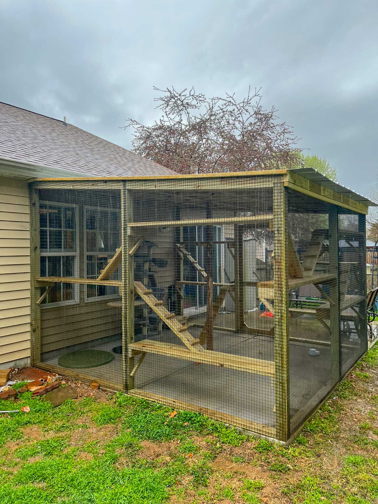 The Backyard Cat Lodge
