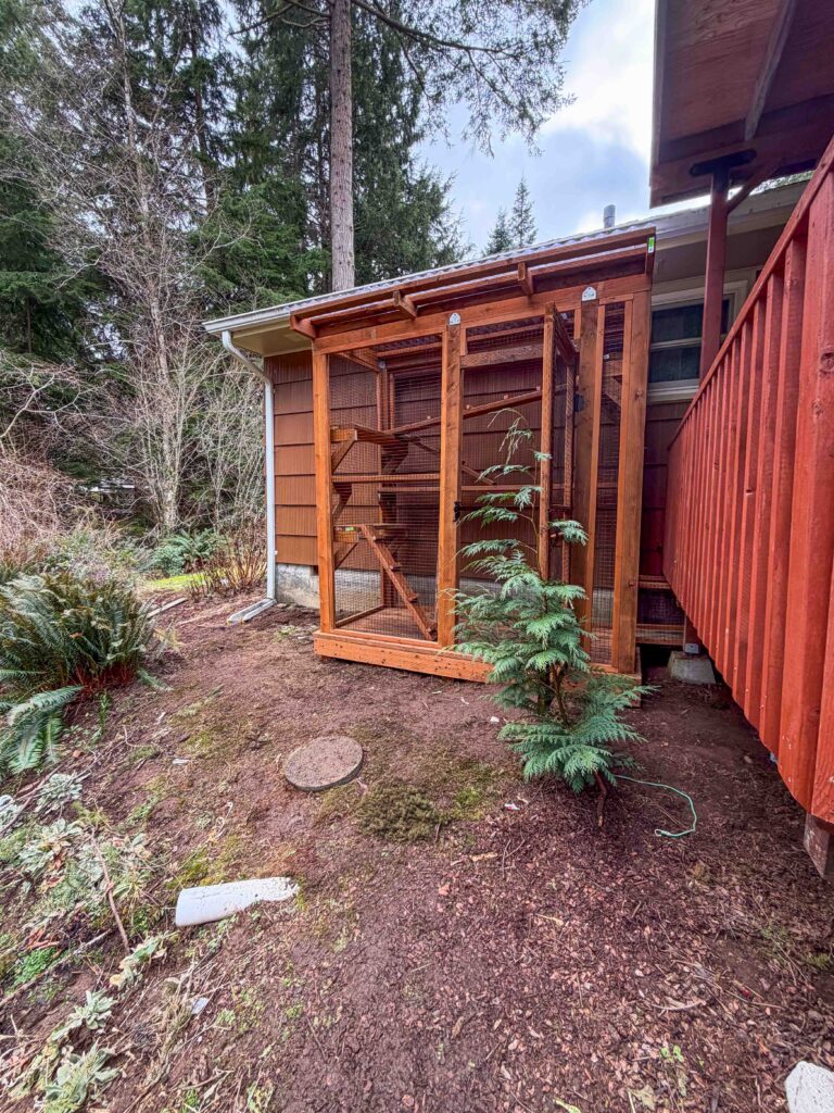 Exterior view of a custom-built cedar catio attached to a home in Aberdeen, Washington, featuring a slanted roof, secure mesh panels, natural wood framing, climbing platforms inside, and surrounded by evergreen trees and native landscaping.