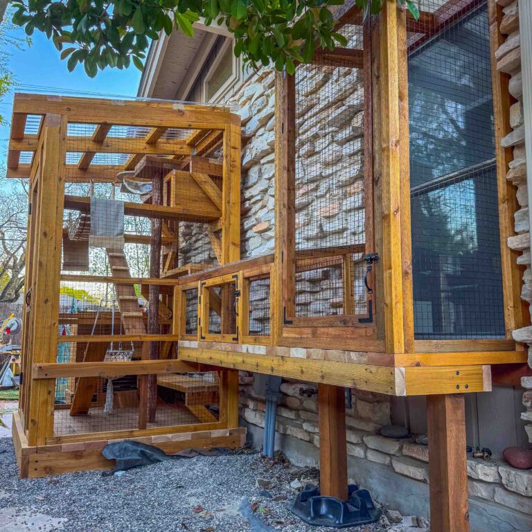 Exterior side view of a large elevated custom catio attached to a stone house with a screened window tunnel connection, multiple access doors, and sturdy wooden posts